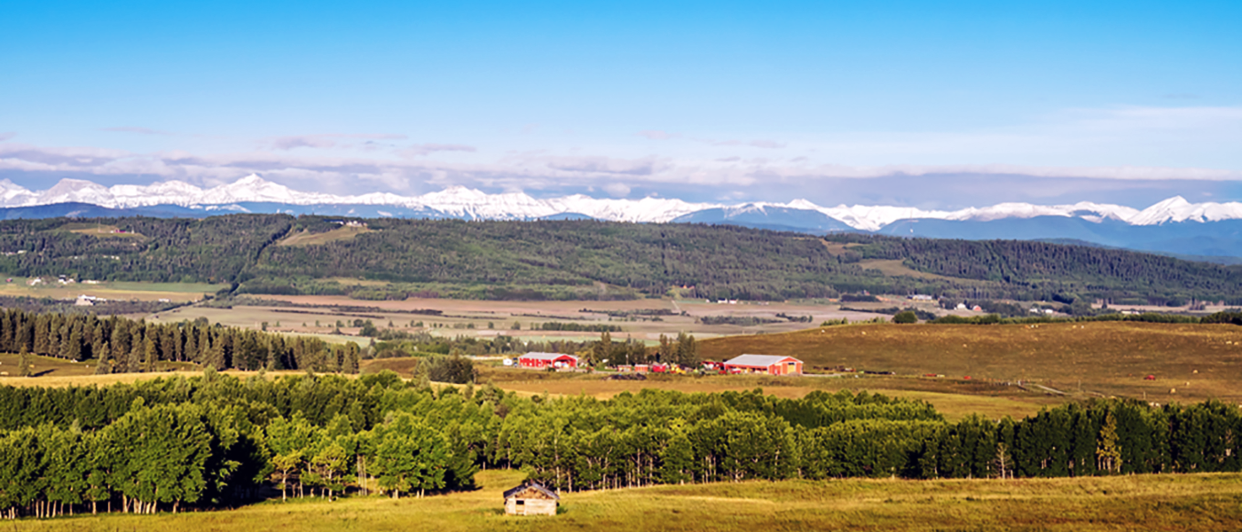 Kidder & Company Real Estate & Property Management Ltd. Kidder & Company